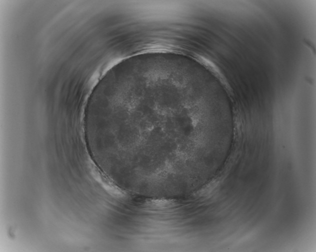 X0000102801427200808181151