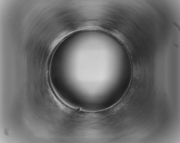 X0000102801430200808181151