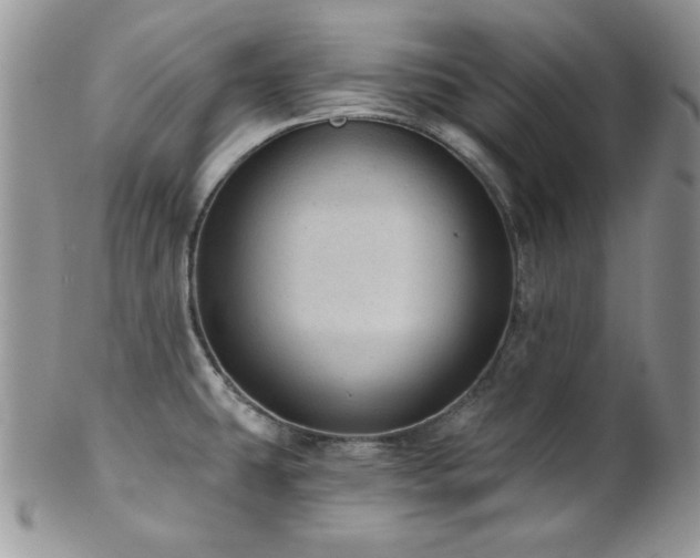 X0000102801431200808181151