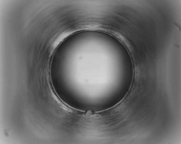 X0000102801432200808181151