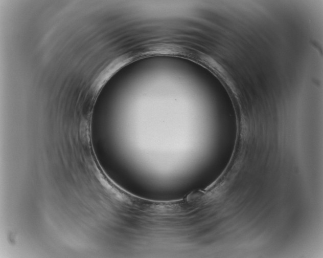 X0000102801433200808181151