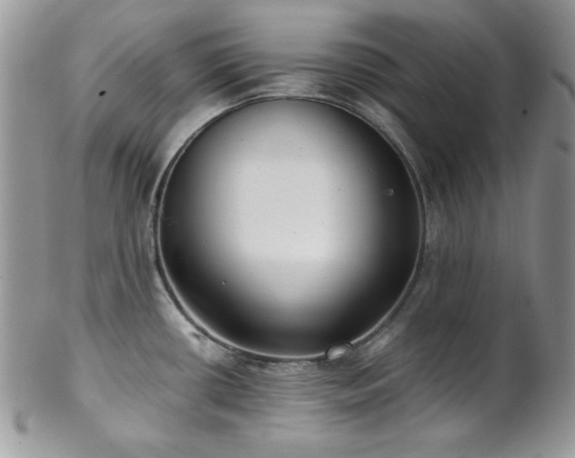 X0000102801434200808181151