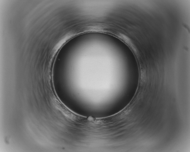 X0000102801435200808181151