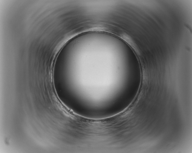 X0000102801436200808181151