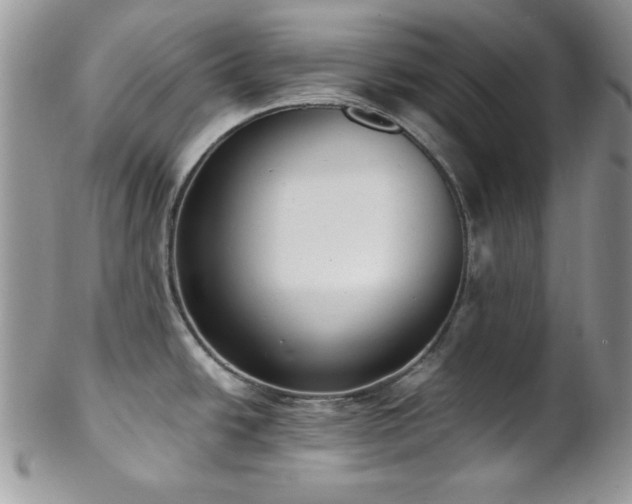 X0000102801438200808181151