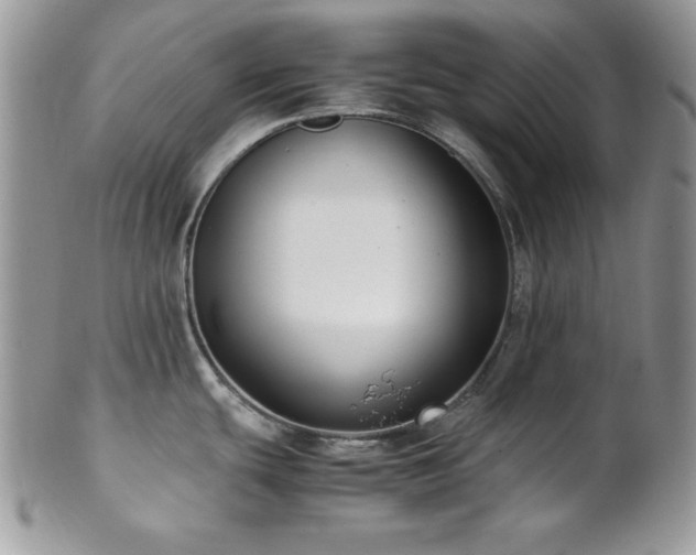 X0000102801439200808181151