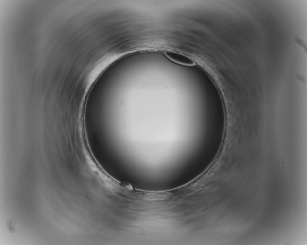 X0000102801440200808181151