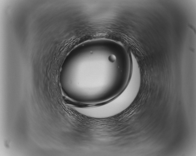 X0000102801441200808181150