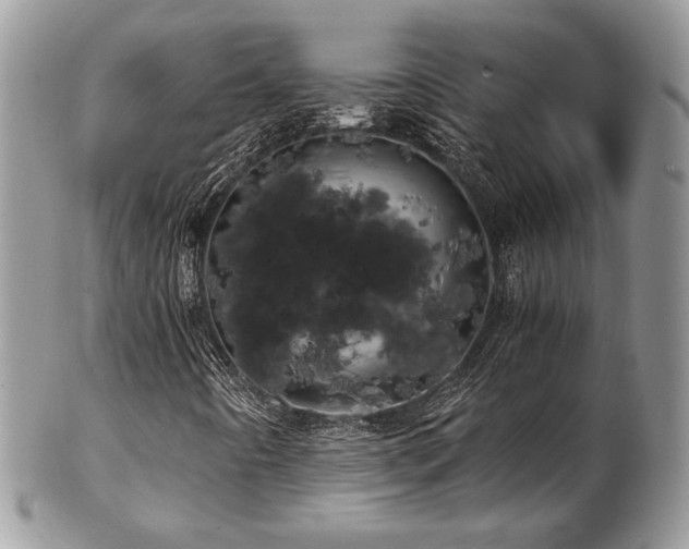 X0000102801442200808181150