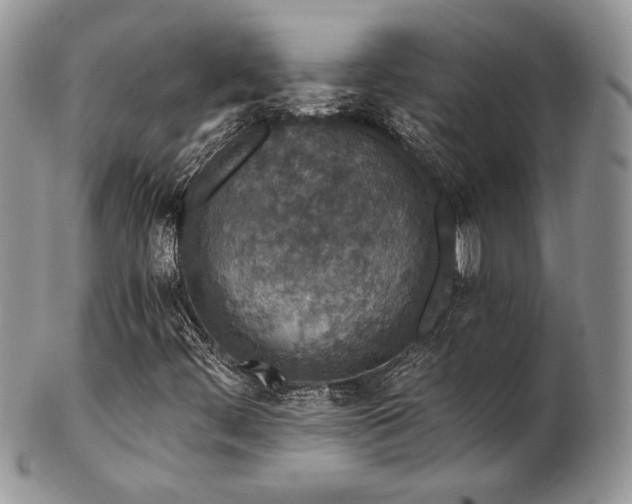 X0000102801444200808181150