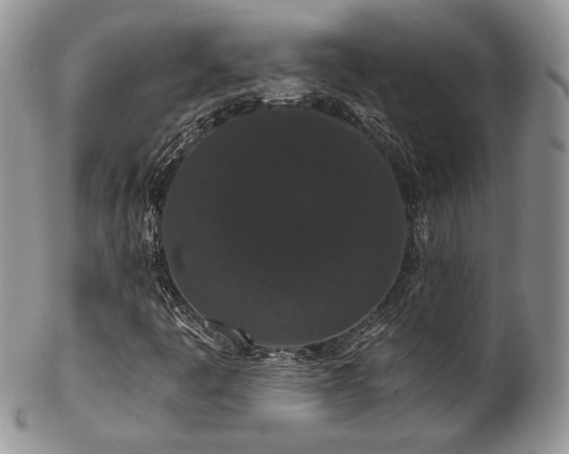 X0000102801445200808181150