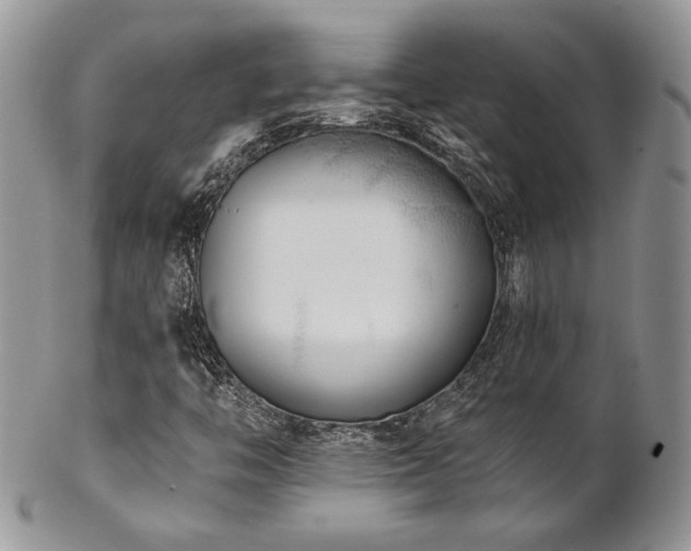 X0000102801446200808181150