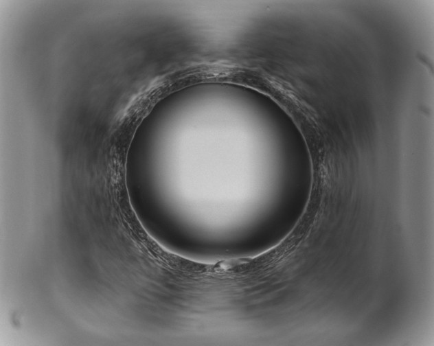 X0000102801447200808181150