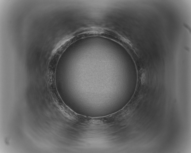 X0000102801448200808181150