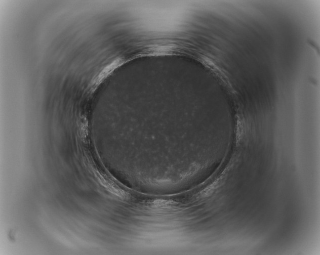 X0000102801449200808181150