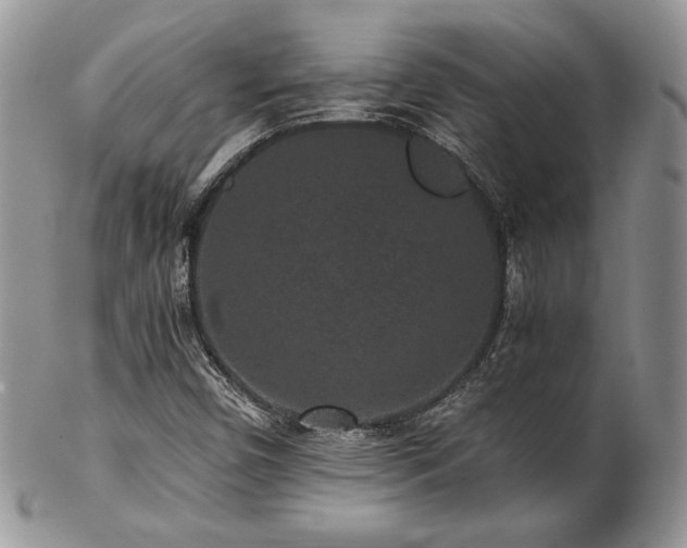 X0000102801450200808181150