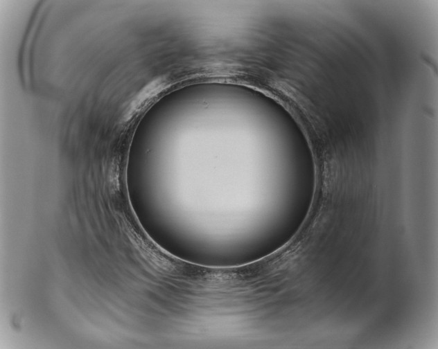 X0000102801451200808181150