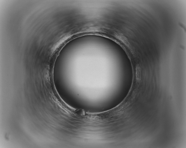 X0000102801452200808181150