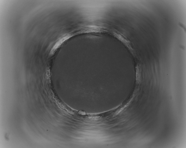 X0000102801453200808181150