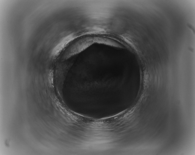 X0000102801455200808181150