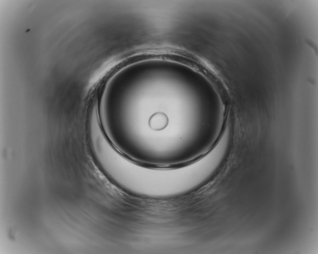 X0000102801456200808181150