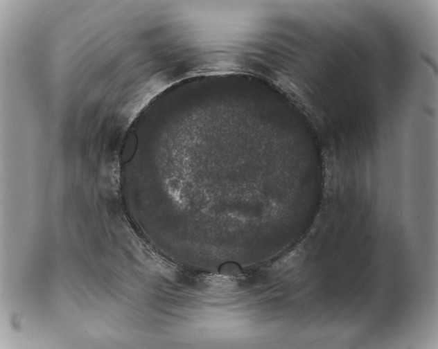 X0000102801457200808181150