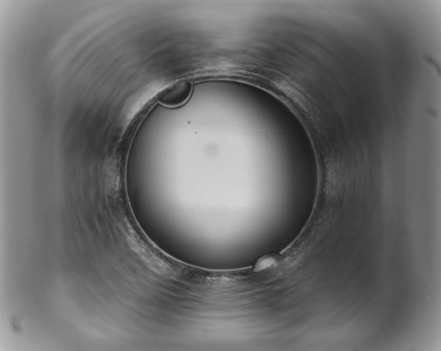 X0000102801458200808181150