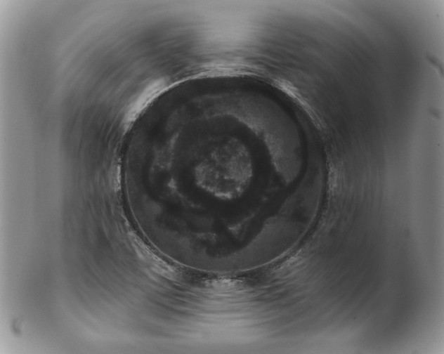 X0000102801459200808181150