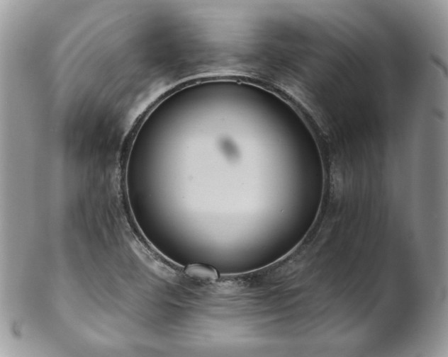 X0000102801460200808181150