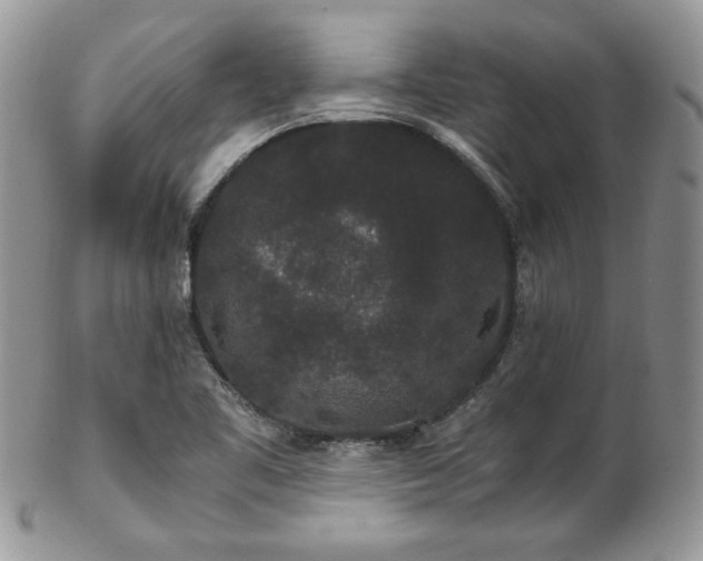 X0000102801461200808181150