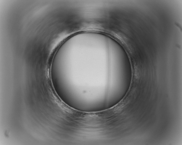 X0000102801462200808181150