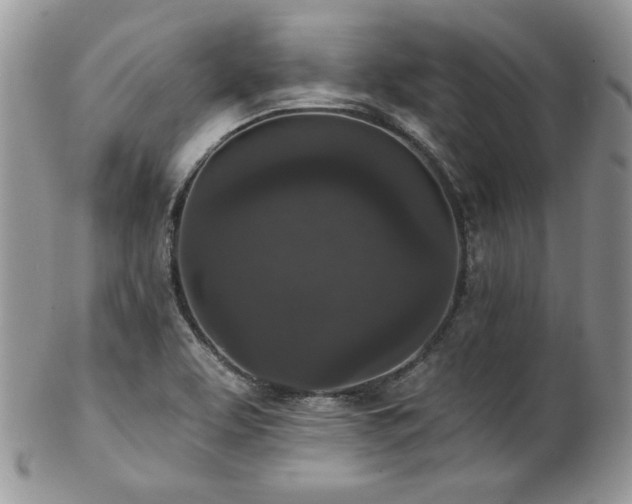 X0000102801463200808181150