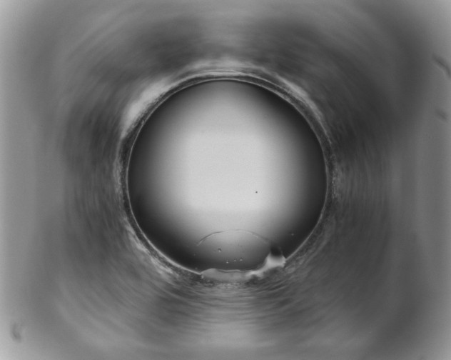 X0000102801464200808181150