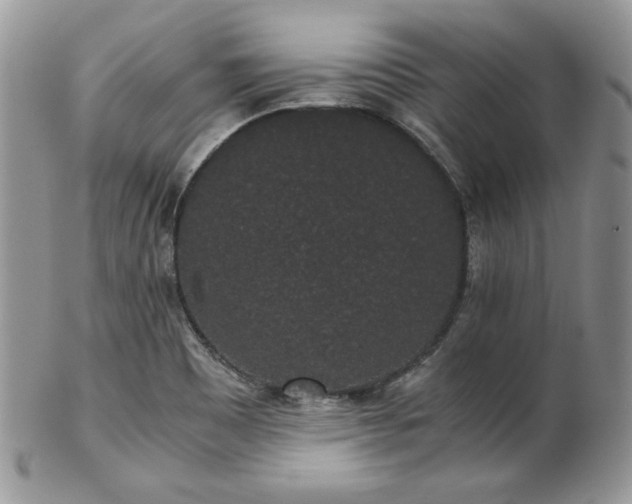 X0000102801465200808181150