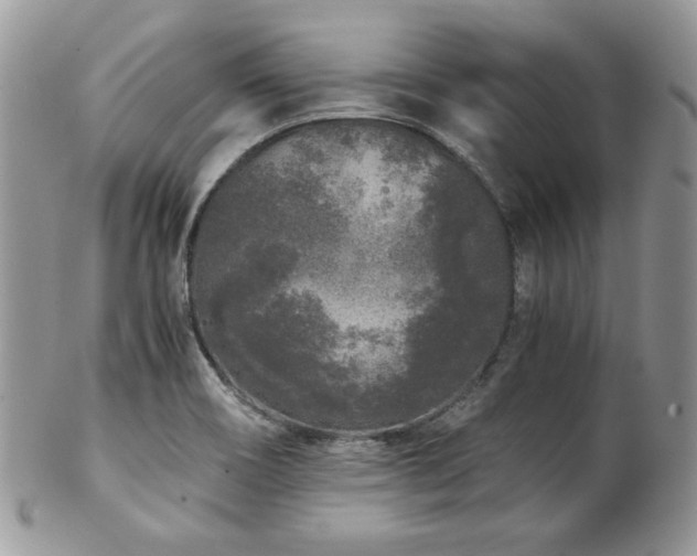X0000102801466200808181150