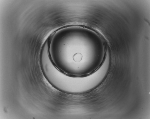 X0000102801468200808181150