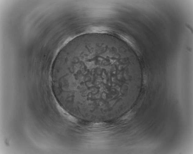 X0000102801471200808181150