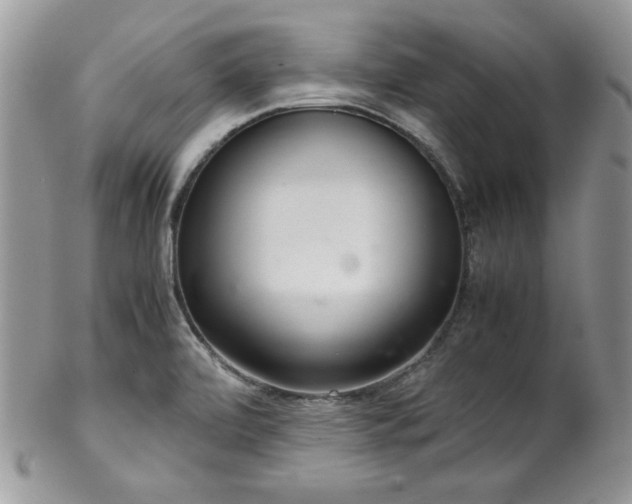 X0000102801472200808181150