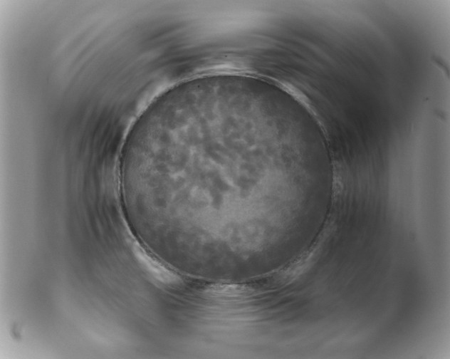 X0000102801474200808181150