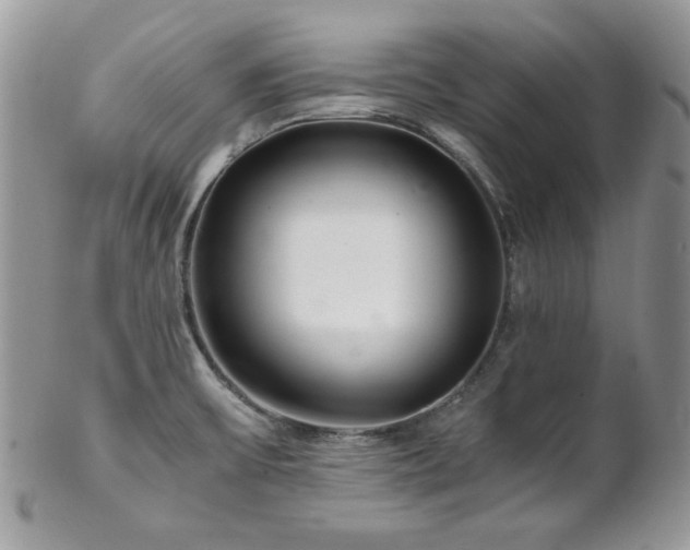 X0000102801475200808181150