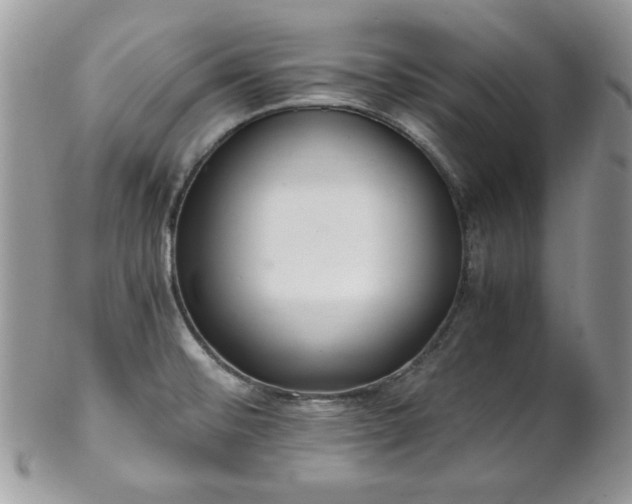 X0000102801476200808181150