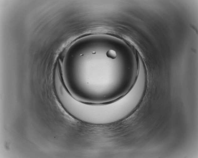 X0000102801477200808181150