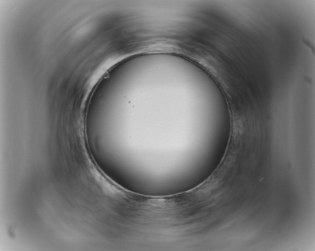 X0000102801478200808181150