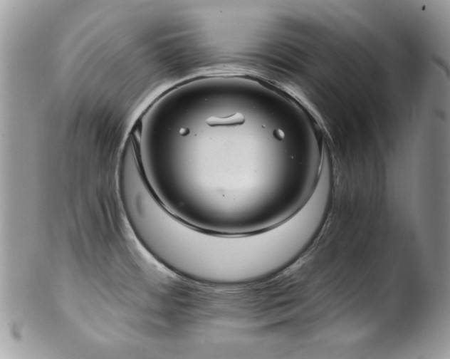 X0000102801484200808181149
