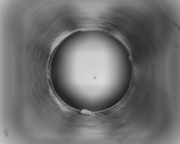 X0000102801485200808181149