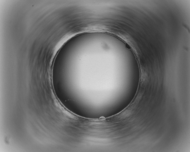 X0000102801486200808181149