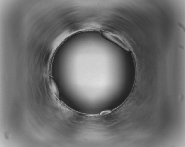 X0000102801488200808181149