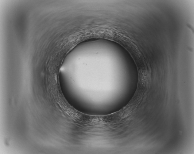 X0000102801489200808181149
