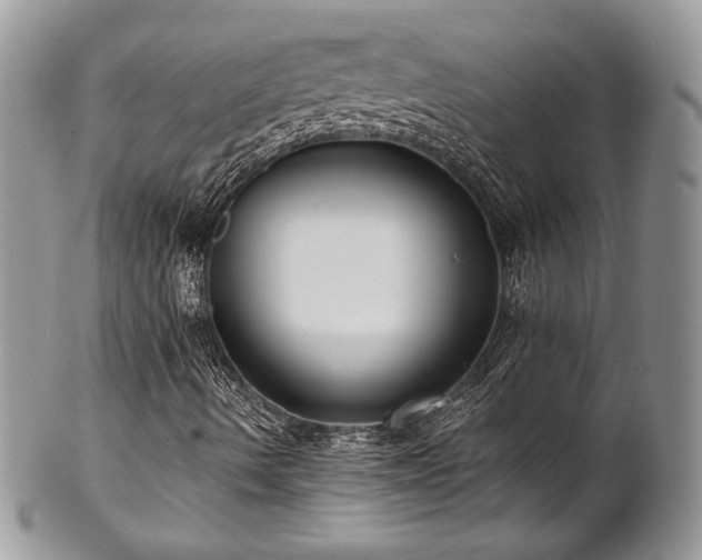 X0000102801490200808181149