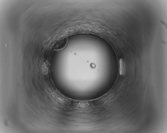 X0000102801491200808181149